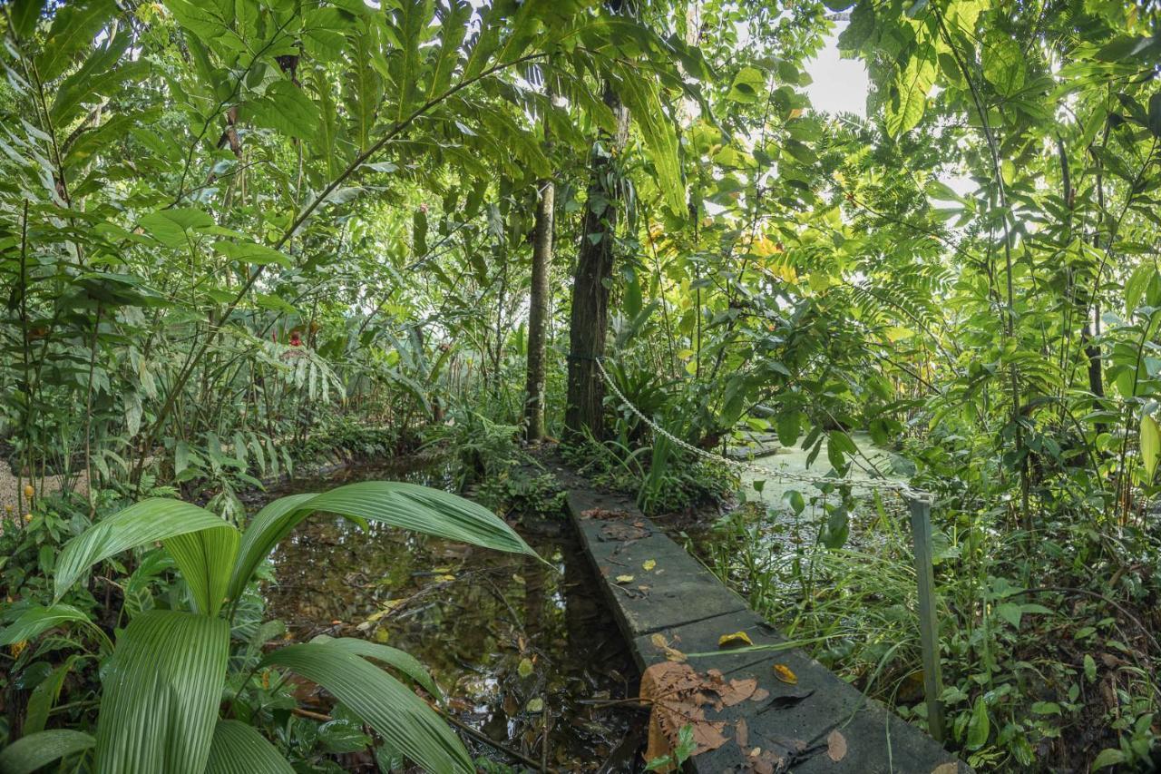 Cabanas Del Rio La Fortuna Esterno foto