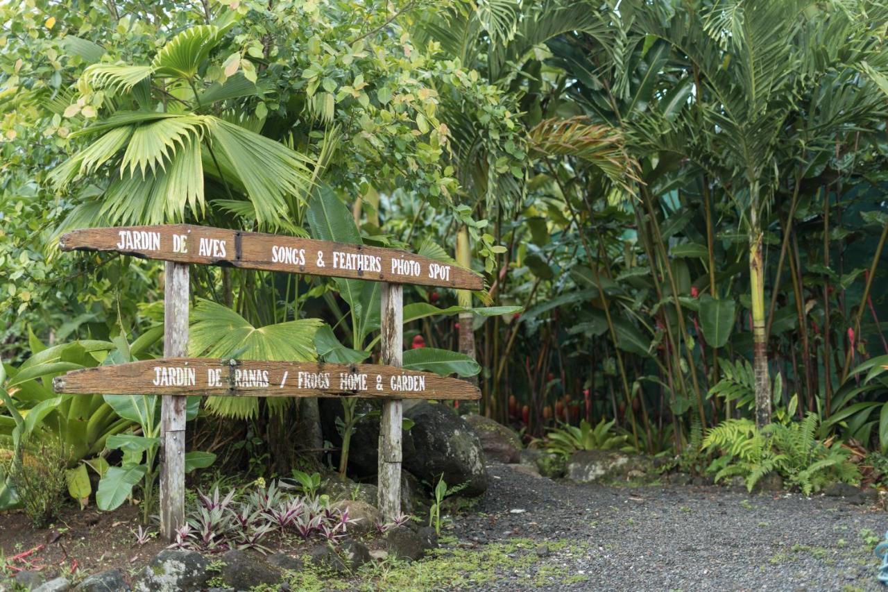 Cabanas Del Rio La Fortuna Esterno foto