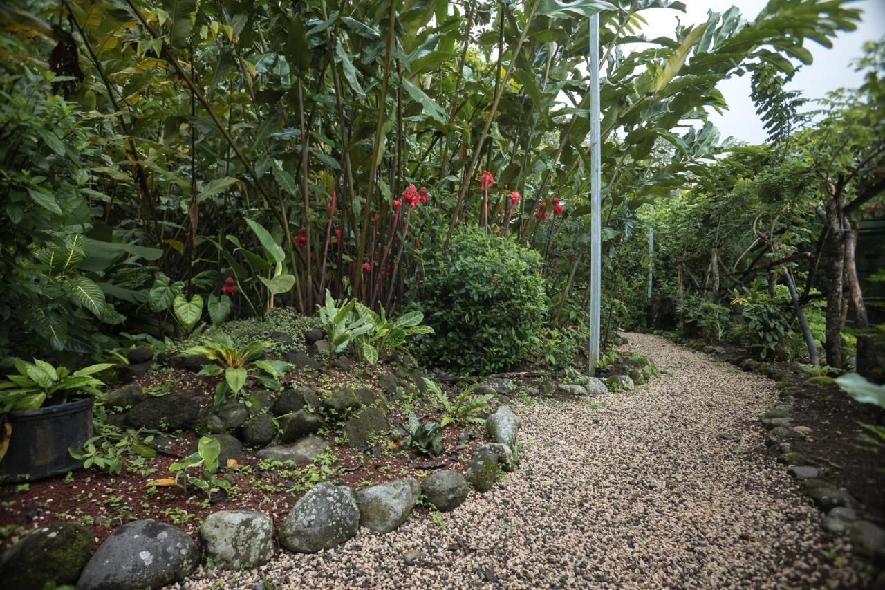 Cabanas Del Rio La Fortuna Esterno foto