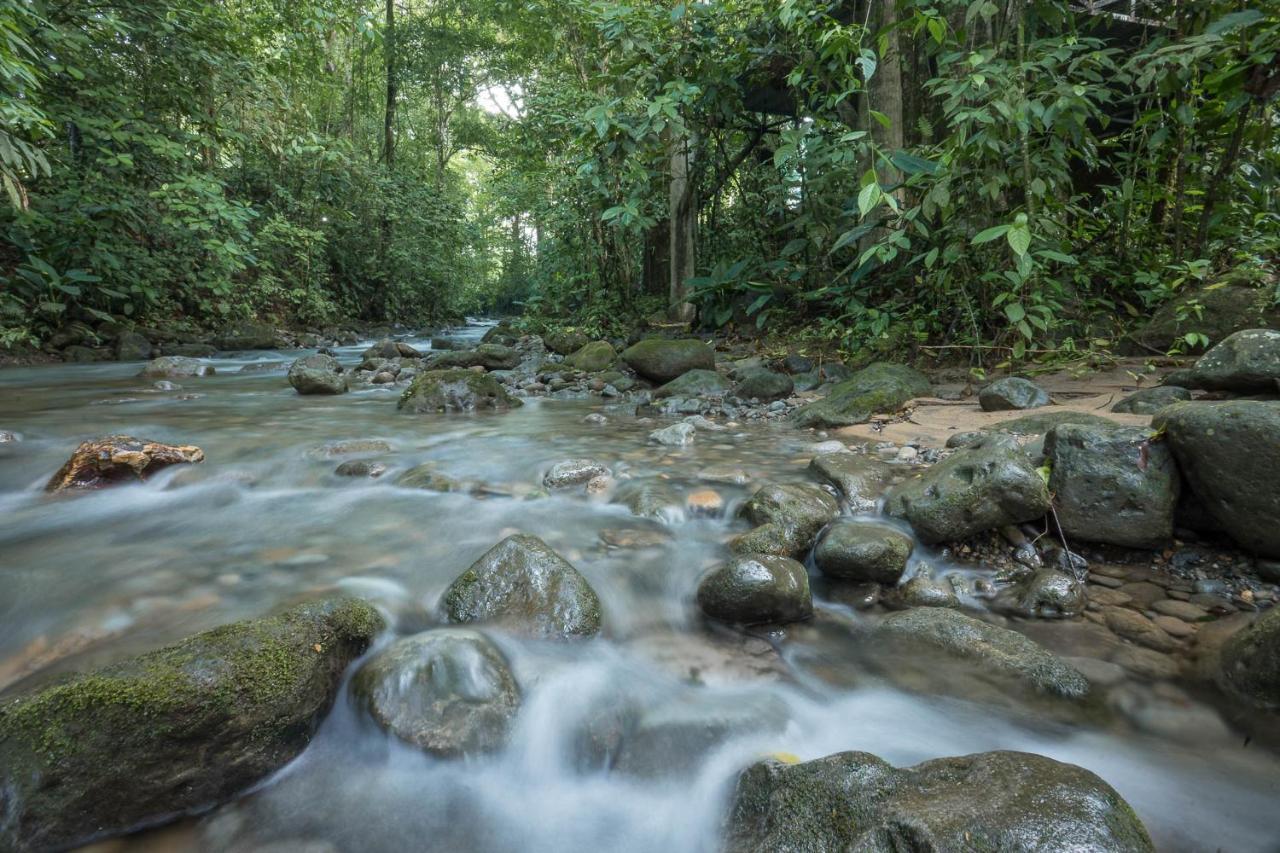 Cabanas Del Rio La Fortuna Esterno foto