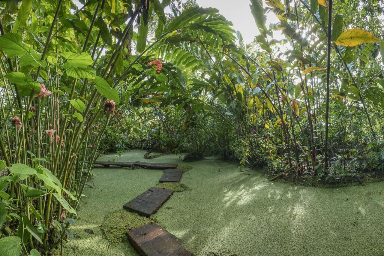 Cabanas Del Rio La Fortuna Esterno foto