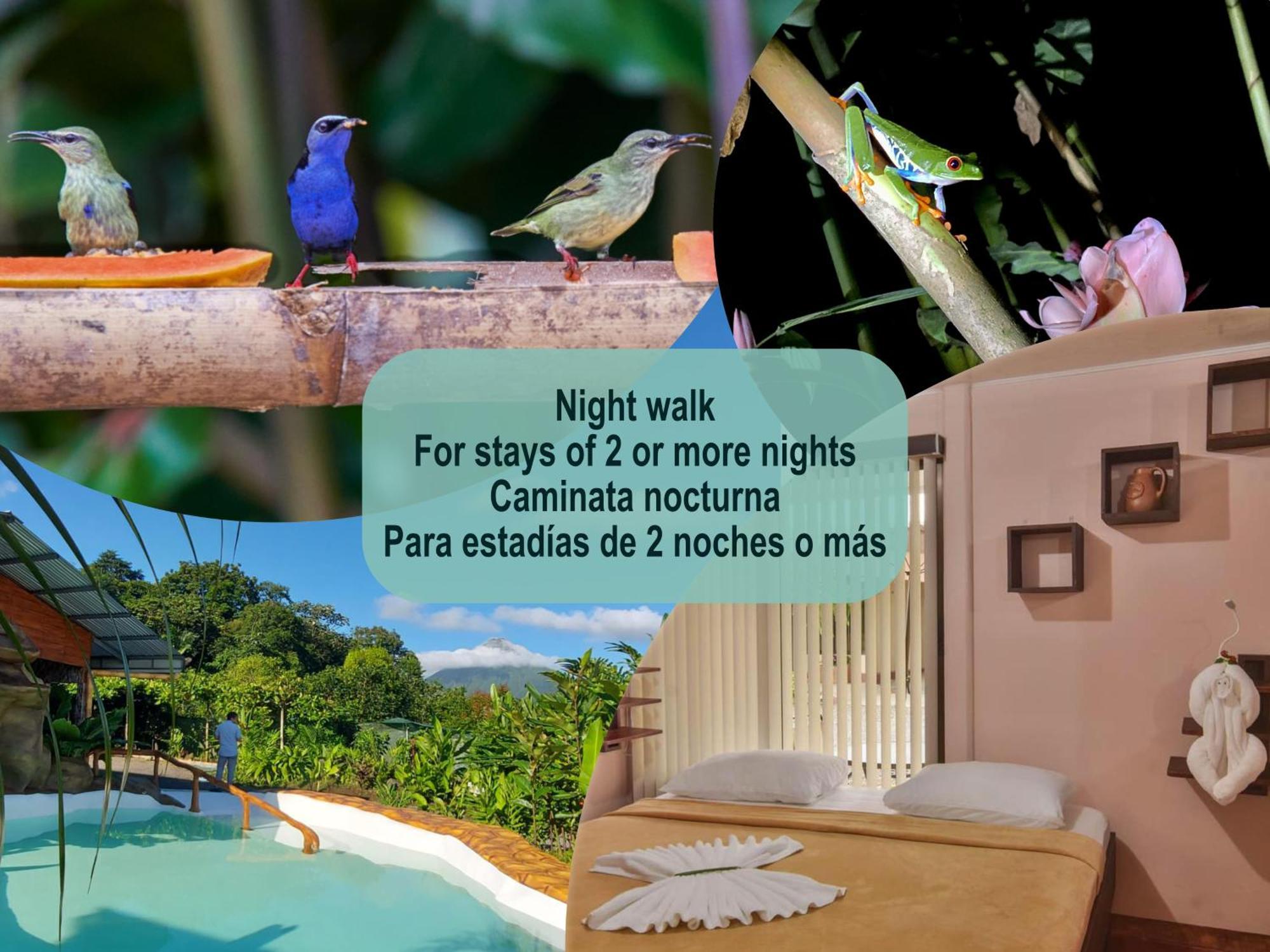 Cabanas Del Rio La Fortuna Esterno foto